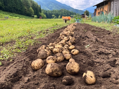 みんなの投稿の画像