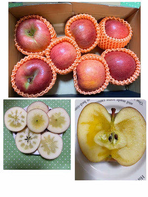 みんなの投稿の画像