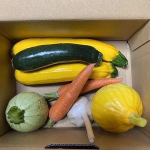 信州上田産夏野菜セット（栽培期間中無農薬）