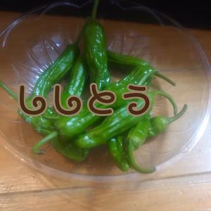 夏の香り 簡単一品料理！～ししとう～