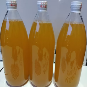 完熟サンふじりんごジュース１リットル✕６本