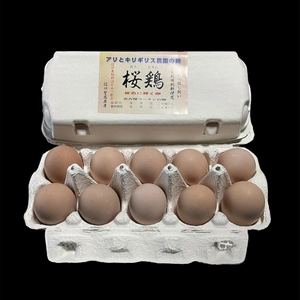 名古屋コーチンの卵【桜鶏】