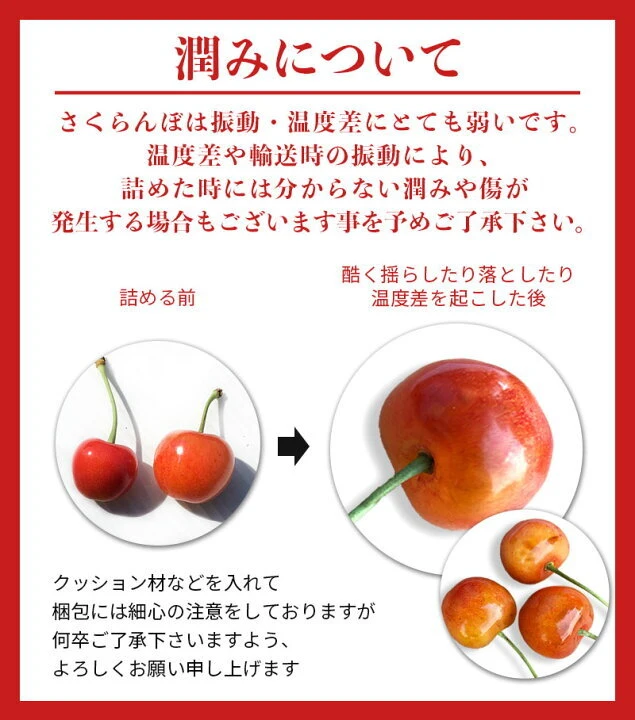 減農薬栽培　美味しいさくらんぼをさくらんぼ農家がセレクト！品種おまかせコース