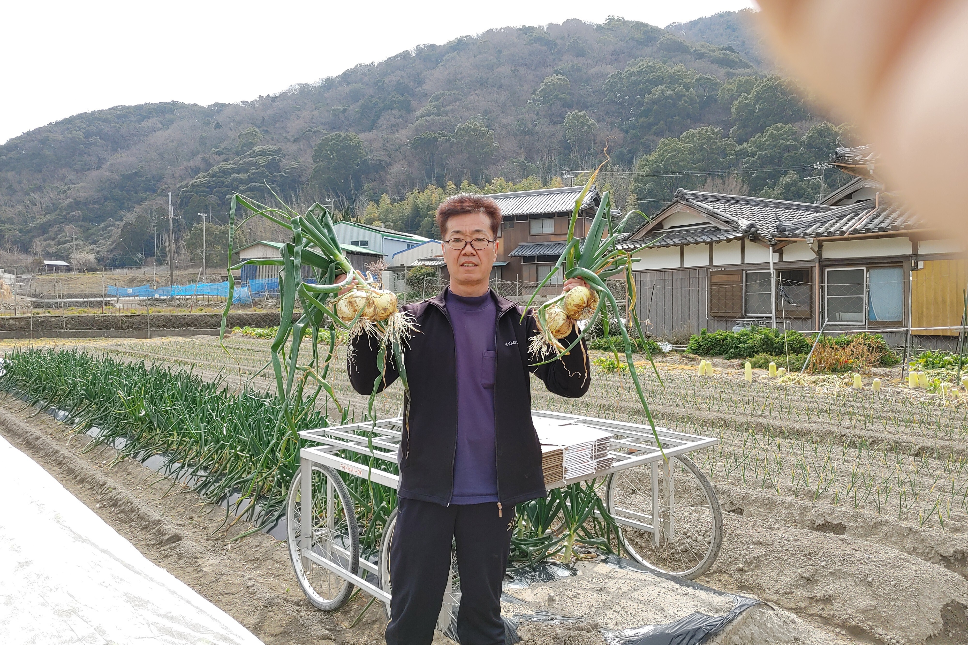 大好評、地層が違う淡路島、訳あり新玉ねぎスーパーアップ｜玉ねぎの