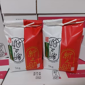 【新米】令和7年新潟県五泉市四ヶ村1等新之助5kg×2 10kg 白米