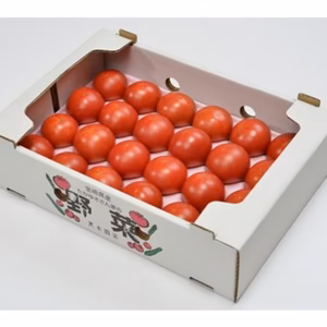 ✨✨黒木園芸のセレブスイート✨✨