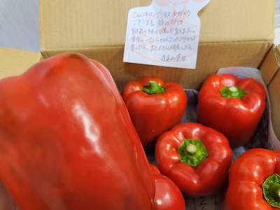 みんなの投稿の画像