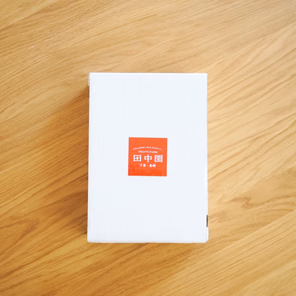 初物いちご！大きめサイズのいちご 【千葉県船橋市のあま～いいちご】