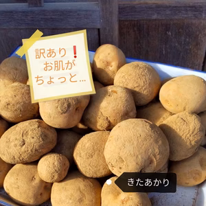 訳あり　お肌がちょっと…農薬不使用　無施肥栽培ジャガイモ　きたあかり