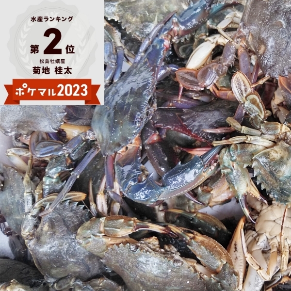 魚介類のカニの商品一覧｜ポケットマルシェ｜産直(産地直送)通販 - 旬の果物・野菜・魚介をお取り寄せ