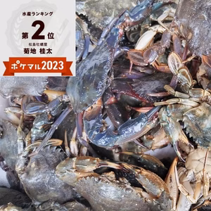 冷凍出荷！食用イシガニ 石蟹４kg/8kg 活状態で冷凍 蟹大容量