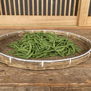 スナップエンドウ　２kg