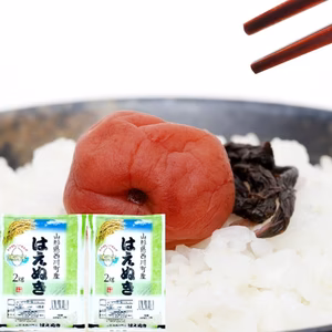 おいしいはえぬき 2kgx2袋 特A米 1等米 無洗米 令和6年山形産 