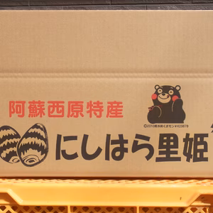 やわらかくて甘い里芋「にしはら里姫」期間限定家庭用