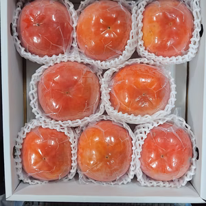 国城観光農園の富有柿(送料無料)4Lサイズ8個入り