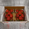 【減農薬】一箱 2パック 家庭用 いろいろなサイズ 『モカベリー』 完熟いちご