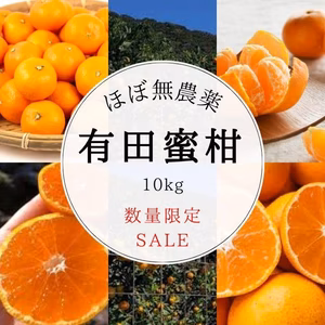 訳あり 減農薬 甘い うまい 安いの有田みかん 10kg 早生