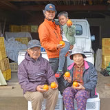 中村 清 | オレンジ ヒヨコ