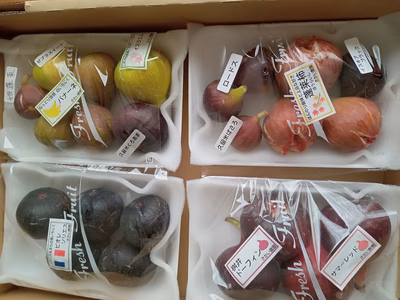 みんなの投稿の画像