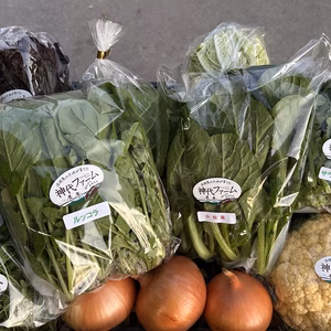 淡路島の野菜のセット