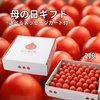 母の日ギフト【選べるメッセージカード】　濃厚ミニトマト　御歳暮・ギフト・贈り物　