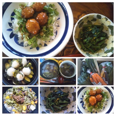 みんなの投稿の画像