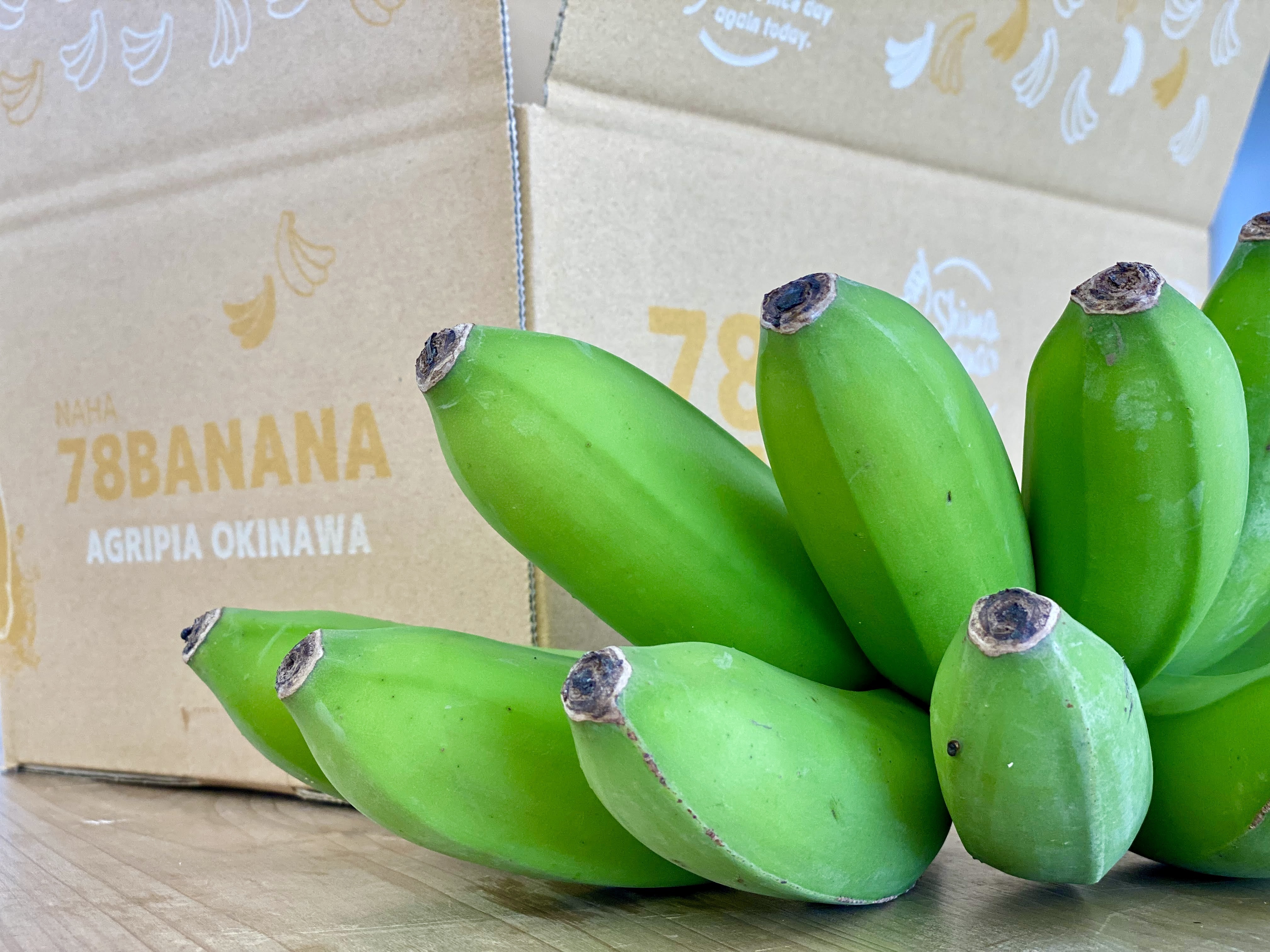 最高の品質の 送料無料 沖縄県産バナナの葉 大サイズ 5枚