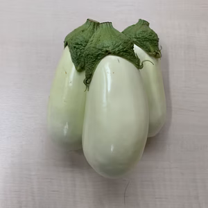 新鮮・感動白なす