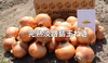 淡路島産玉ねぎ 子供達も大好き!!あま〜い玉ちゃん。20kg