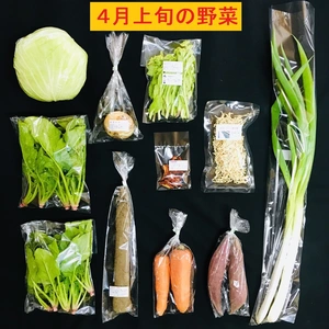 4月のオーガニック野菜セット（　常温便　）