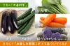 【第2週お届け】季節を味わう　旬のお野菜定期便
