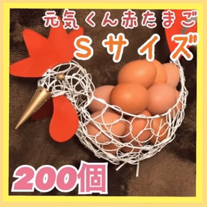 元気くん　200個　卵