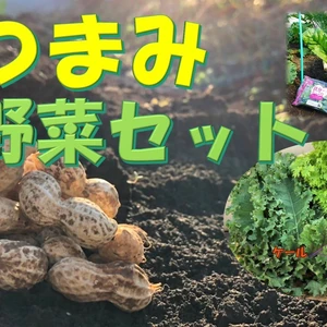 【熊本県産】 "おつまみ"野菜とベビーリーフセット