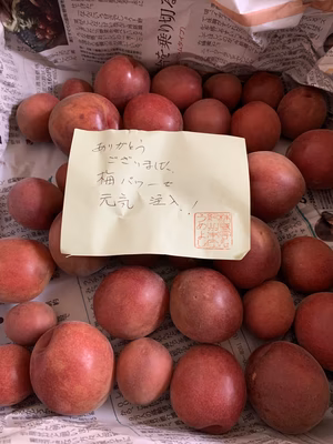 みんなの投稿の画像