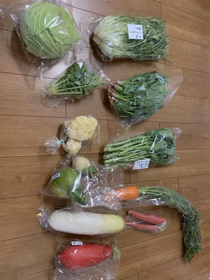 みんなの投稿の画像