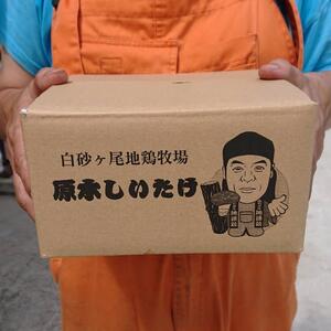 原木乾燥椎茸