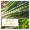 【限定】枝豆付き！ねっこ農園の青ネギ