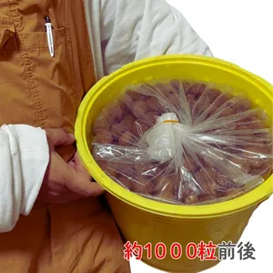 20kg 農家直送 紀州南高梅 樽 つぶれ梅 かわあつ梅 無添加 和歌山 白梅
