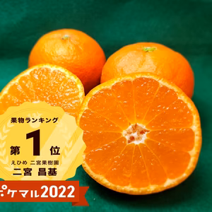 色良し、味よし、見た目良し　みかん