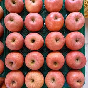 贈答品‼️秀品樹上完熟蜜入りサンふじ5キロ16-20減農薬栽培