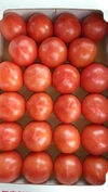 常温では凍る懸念の有る方向け、クール冷蔵でお届け大玉トマト。 クール代およそ折半