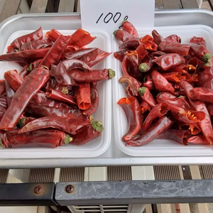 訳あり中辛乾燥唐辛子100ｇ　