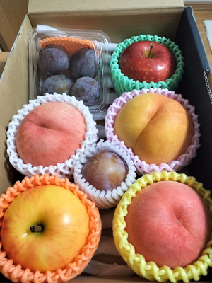 みんなの投稿の画像