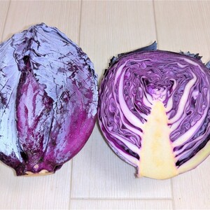 戸島農園　レッドキャベツ2個セット