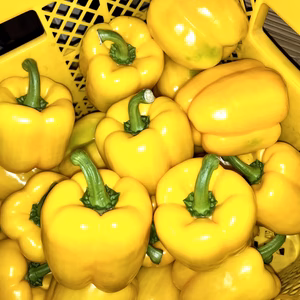 黄色だけ！送料無料！訳あり飛騨産！大きめパプリカ　9玉（黄）