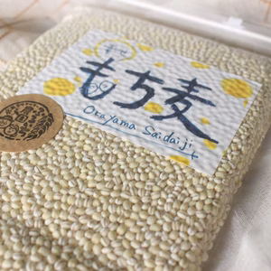 ★令和7年産★岡山西大寺幸せもち麦（キラリモチ）
