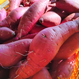 さつまいも べにはるか 紅はるか