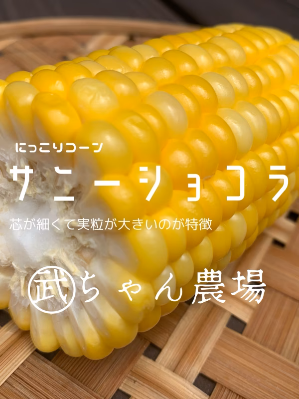 2日以上発送用】メロンより甘い生で食べれるフルーツとうもろこし『にっこりコーン』