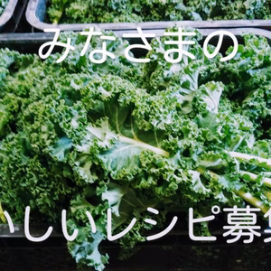 【モニター価格の定期便月に一回】山盛りフリルケールヴェルデ