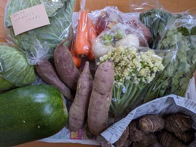 みんなの投稿の画像